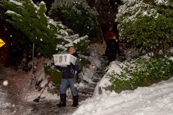 2008 - No storm could stop us