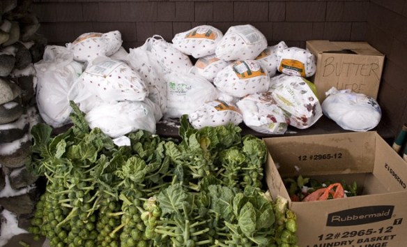 2008 - turkeys & sprouts