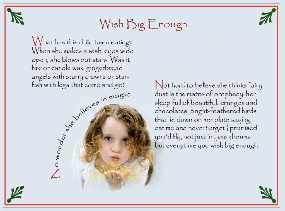 2010 Party Poem by Linda Rogers