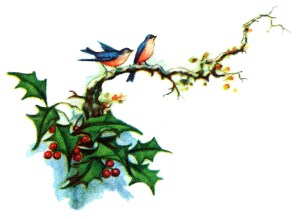 holly-clip-art-4